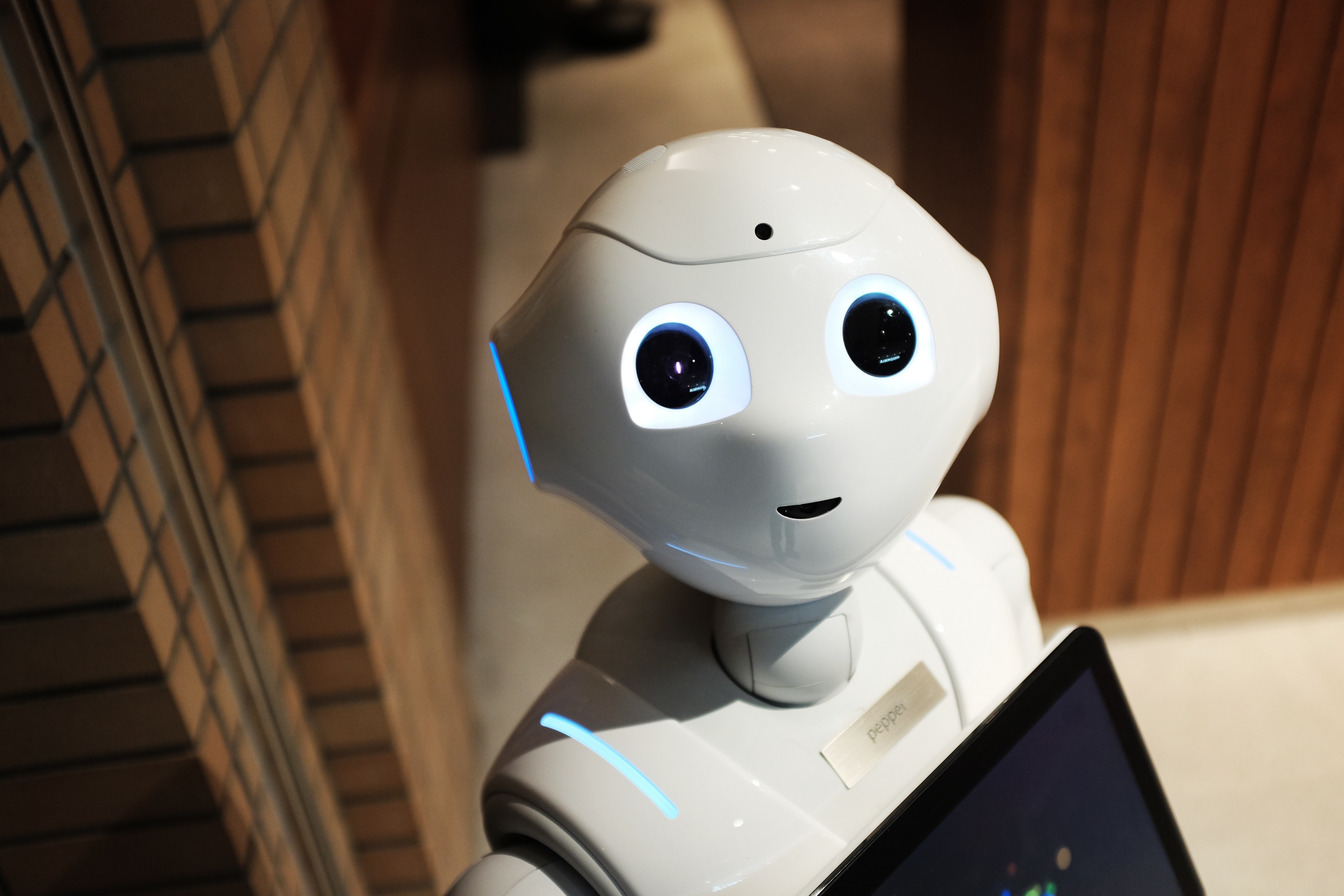 photo of a robot